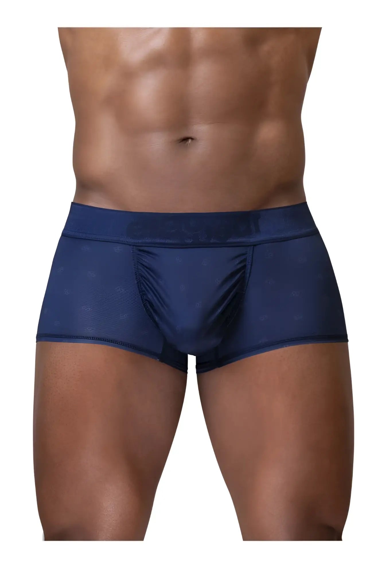 Navy blue sheer mesh briefs with subtle pattern detailing from ergowear ew1752 feel se trunks collection