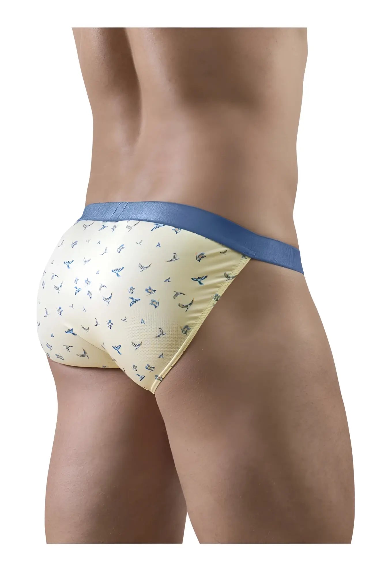 Ergo wear ew1769 slk se bikini briefs in cream with subtle blue bird pattern and solid royal blue waistband