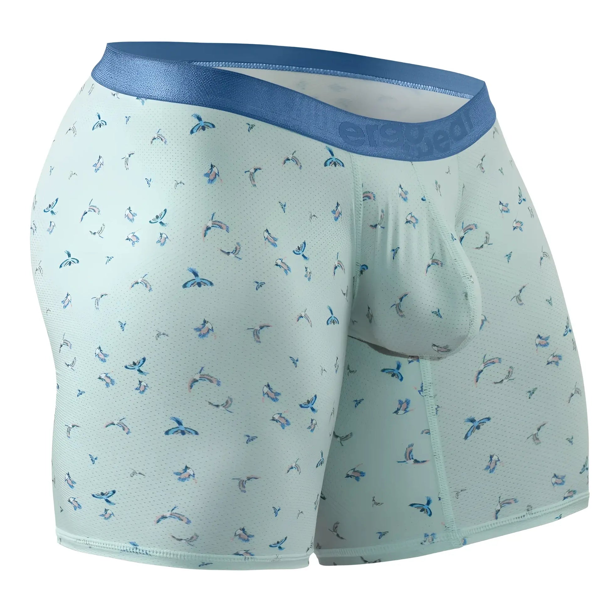 Light green ergo wear ew1779 slk se boxer briefs with blue waistband and blue bird patterns in frost design