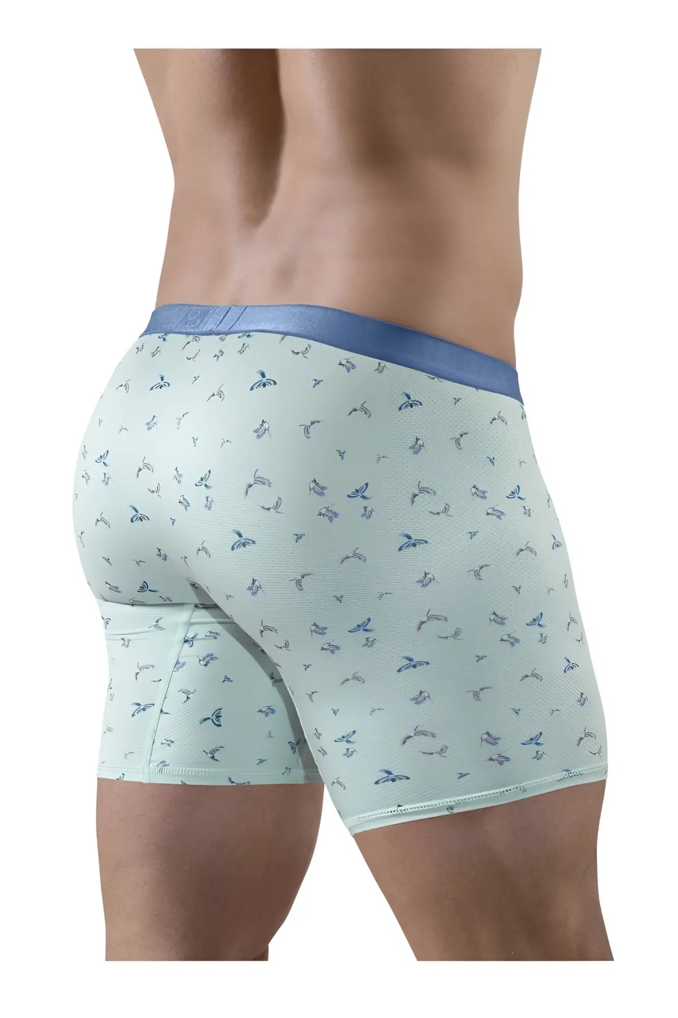 Light green ergoWear ew1779 slk se boxer briefs with blue bird pattern and solid blue waistband for comfort
