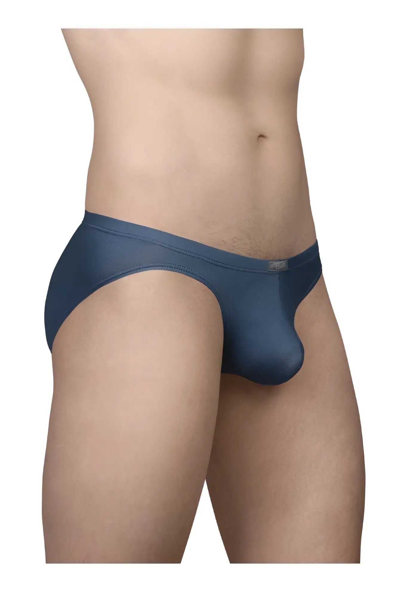 Navy blue sheer mesh briefs ergoWear ew1798 x4d se bikini in sea blue with smooth form-fitting design