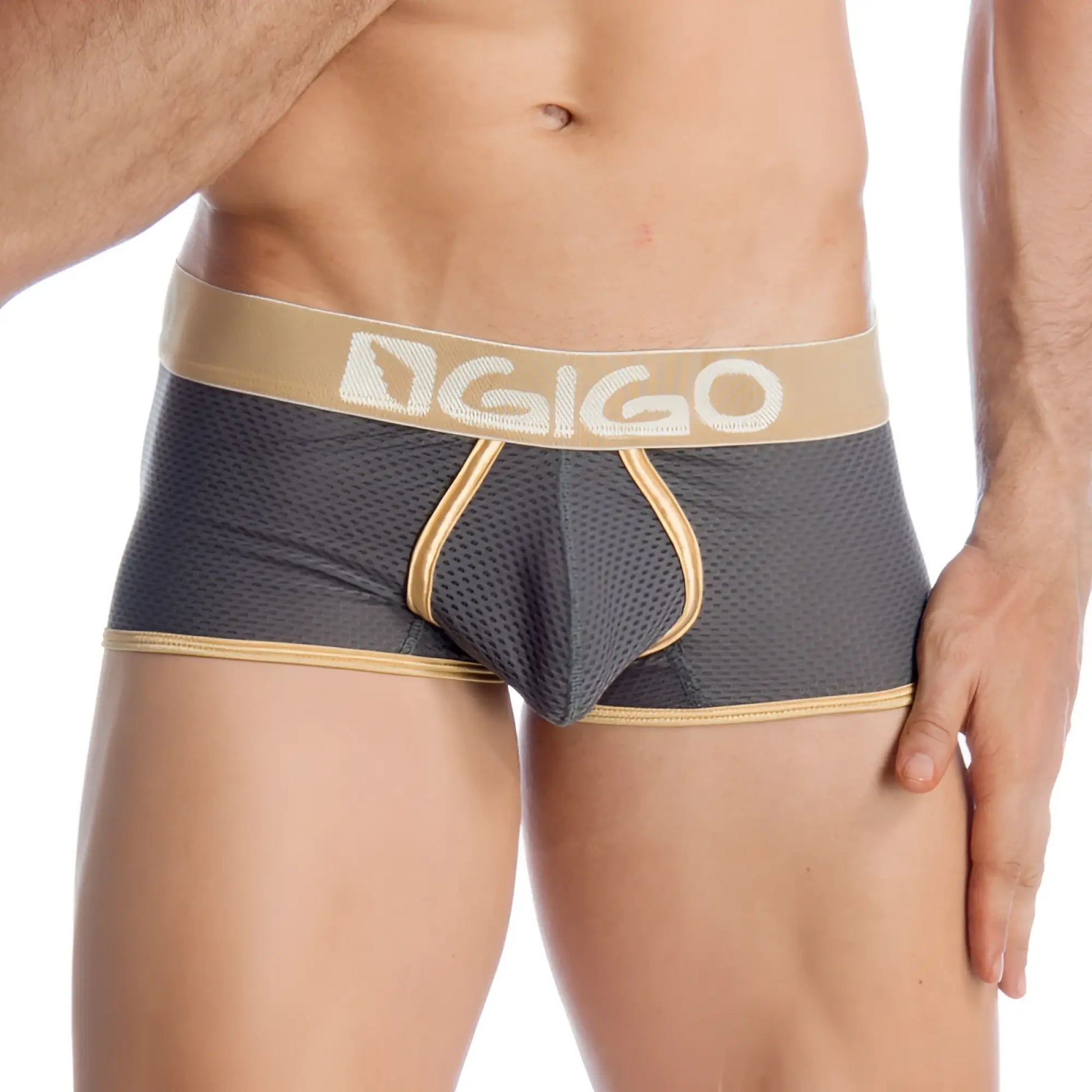 Gray mesh briefs with gold trim and beige gigo logo waistband in size s from gigo capriati grey short boxer underwear line