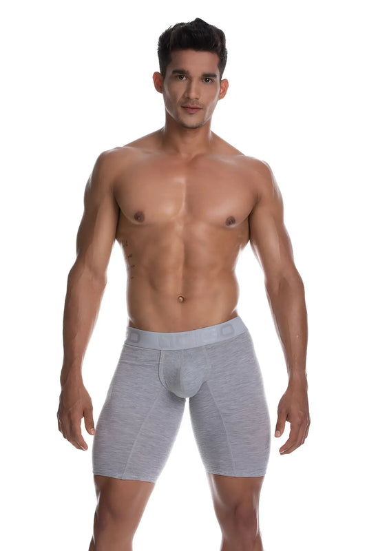 Gray heathered men’s boxer briefs with subtle elastic waistband from gigo cautious grey long boxer underwear g04234 size l