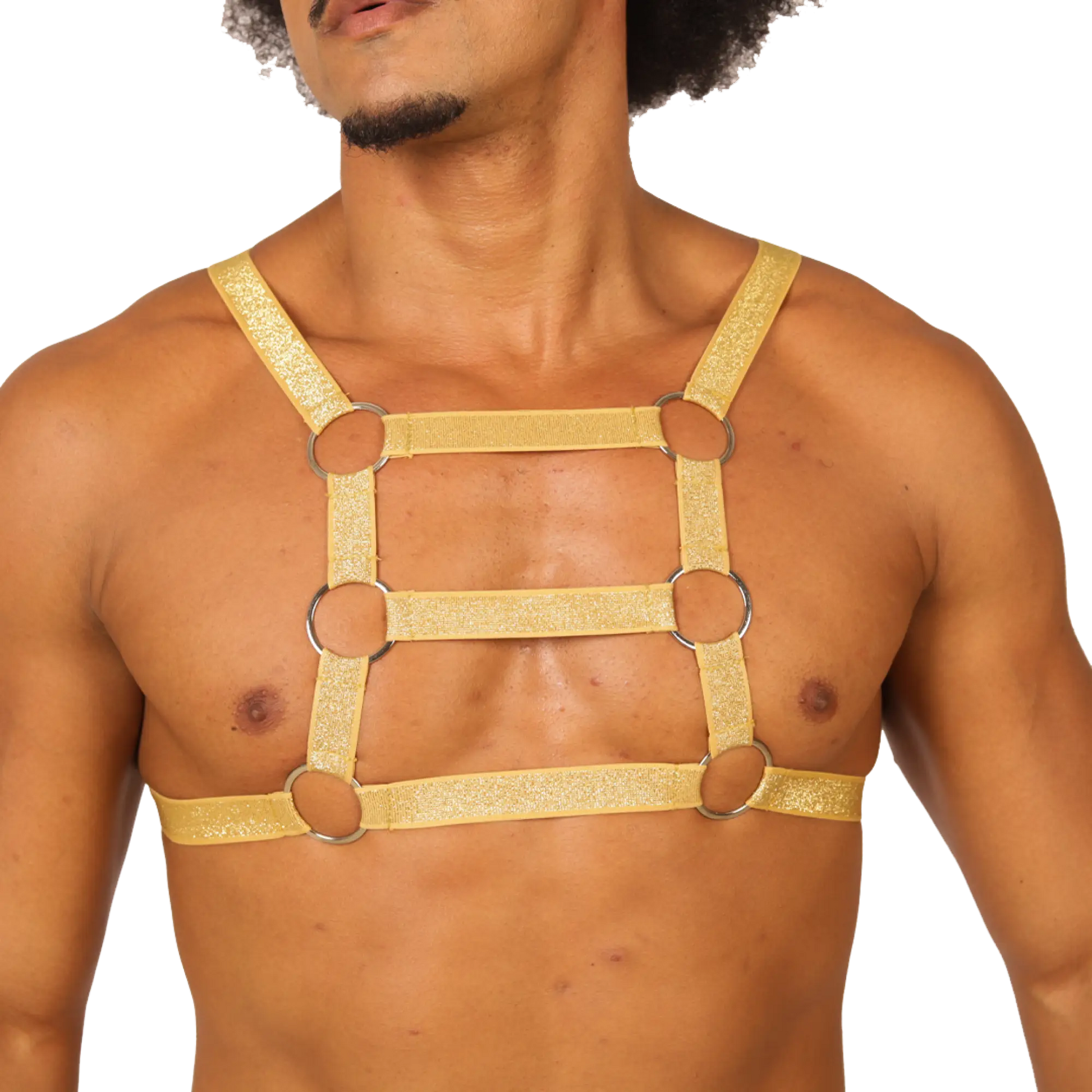 Gold glitter harness with silver metal rings from gigo hit gold harness showing front side detail