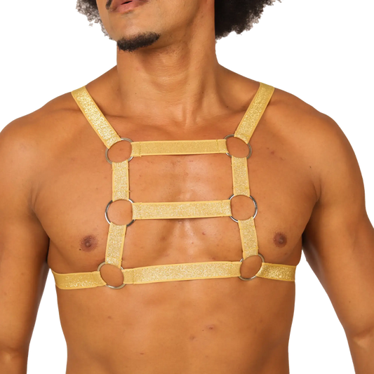 Gold glitter harness with silver metal rings from gigo hit gold harness showing front side detail