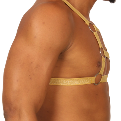 Gold glittery leather harness with silver metal rings for adjustable stylish fit in gigo hit gold harness design