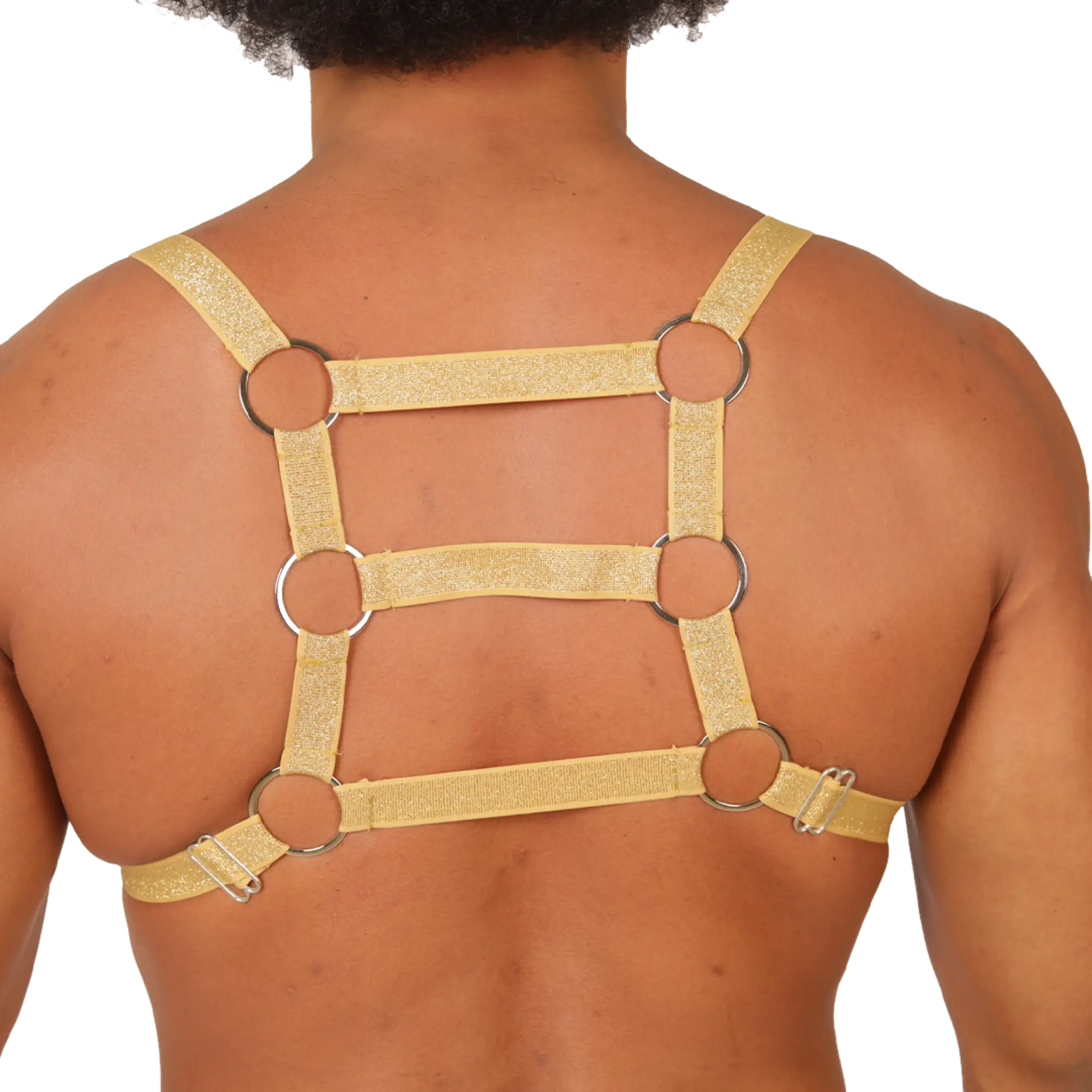 Gold glittery gigo hit harness with silver metal rings and adjustable straps shown from the back side