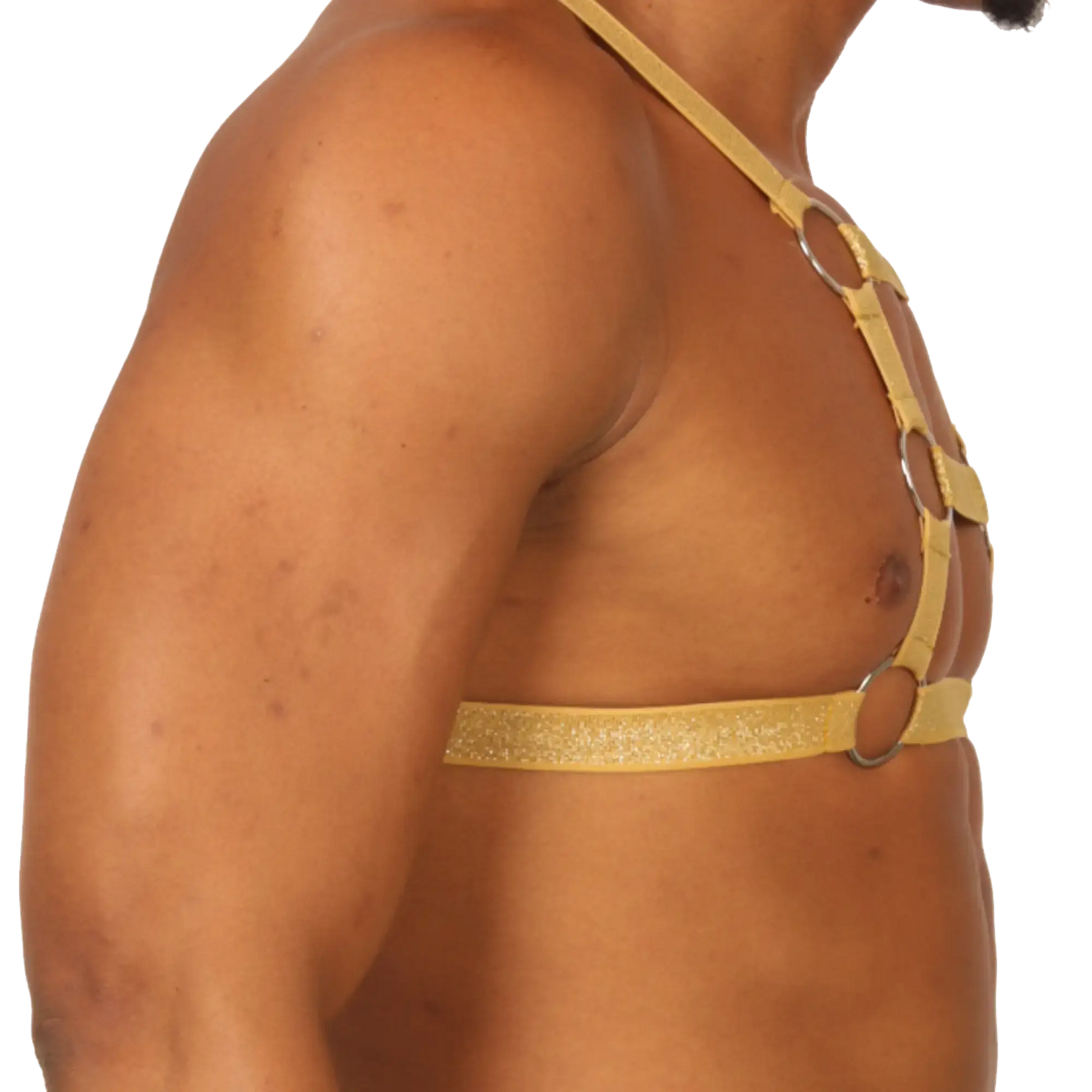 Gold glittery leather harness with silver metal rings for adjustable stylish fit in gigo hit gold harness design