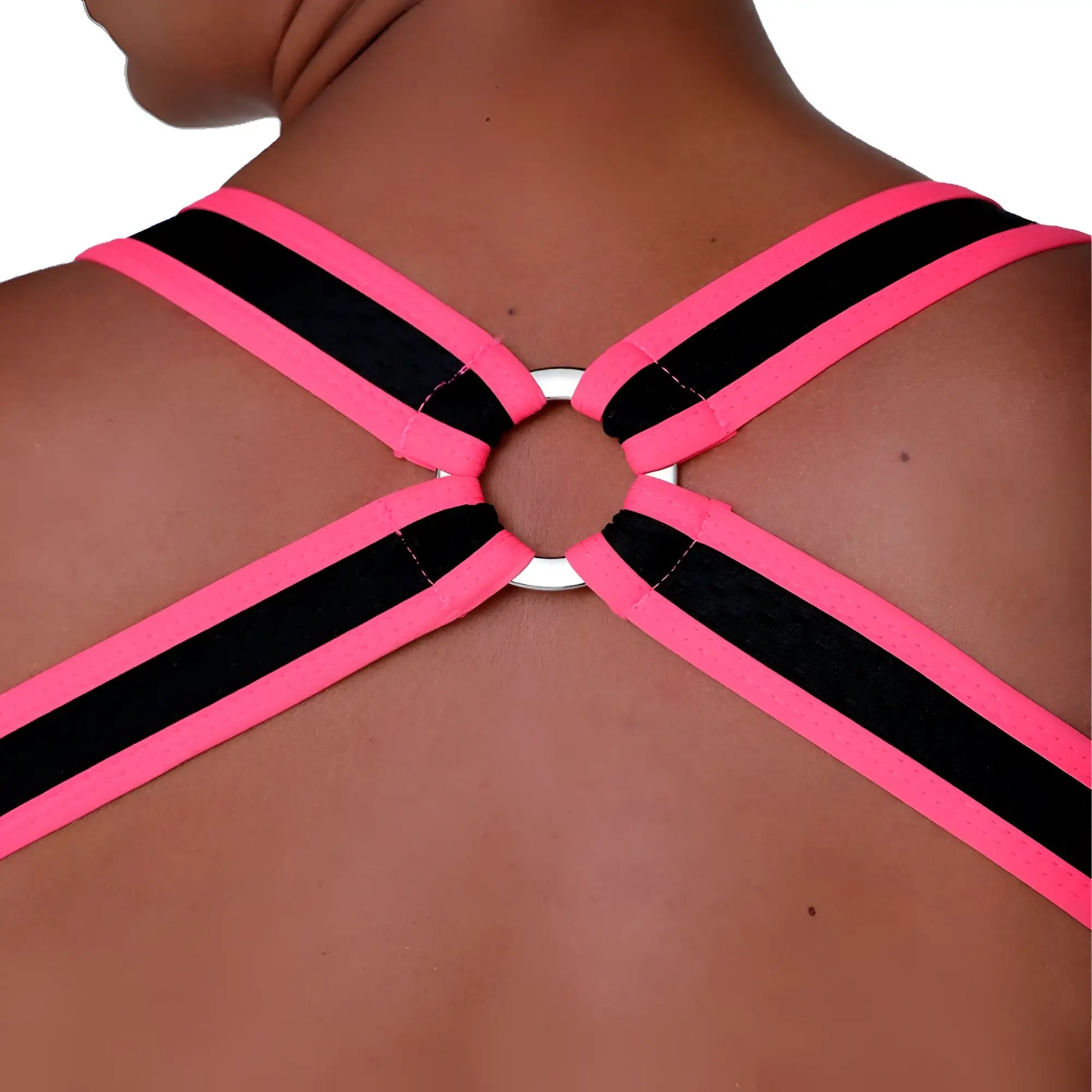 Back side of gigo medieval candy harness featuring vibrant pink and black striped fabric strap with central silver ring