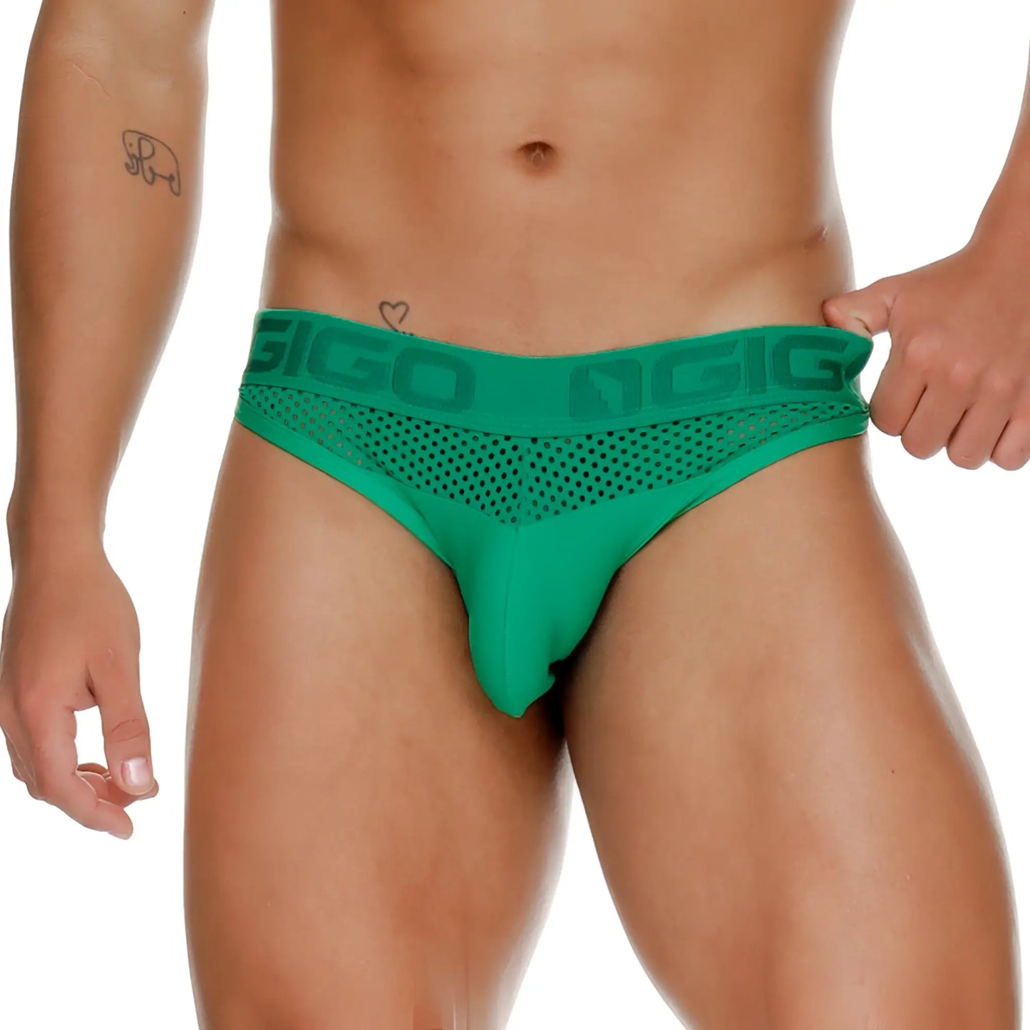 Green mesh briefs with a solid green waistband featuring the gigo logo from the gigo morocco green brief collection