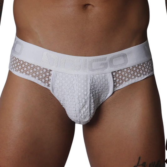White brief with sheer, open-weave lace fabric and a branded elastic waistband.