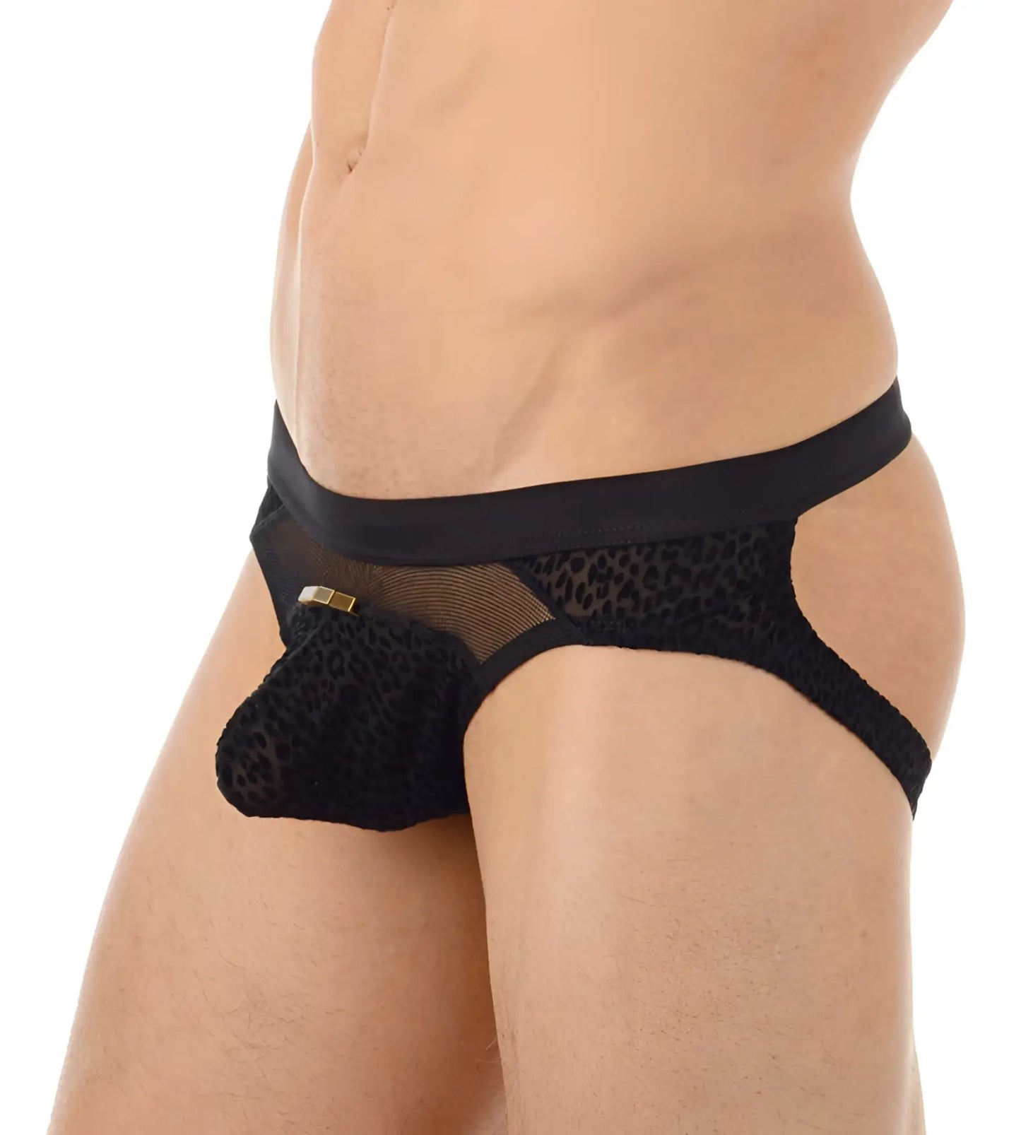 Gregg homme tryst black lace leopard-print thong with solid waistband and gold-tone hardware size s shown from front
