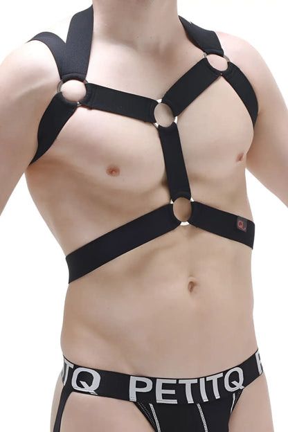 Black harness Ancol with adjustable straps and silver toned metal rings for secure fit and style