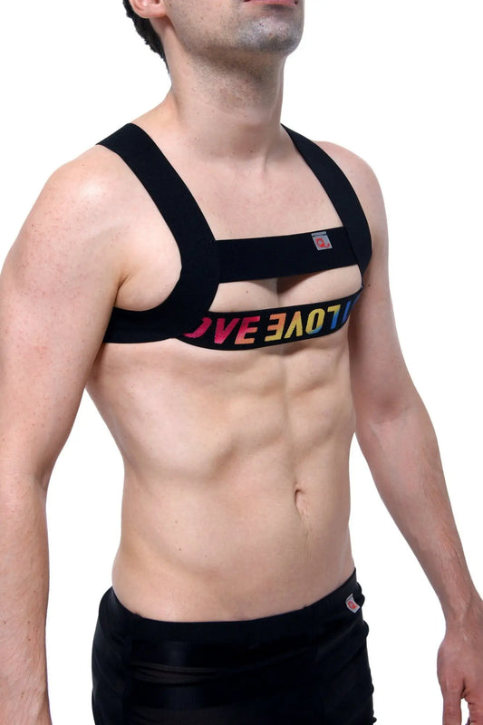 Black chest strap harness petitq givet love with rainbow-colored love lettering across the front