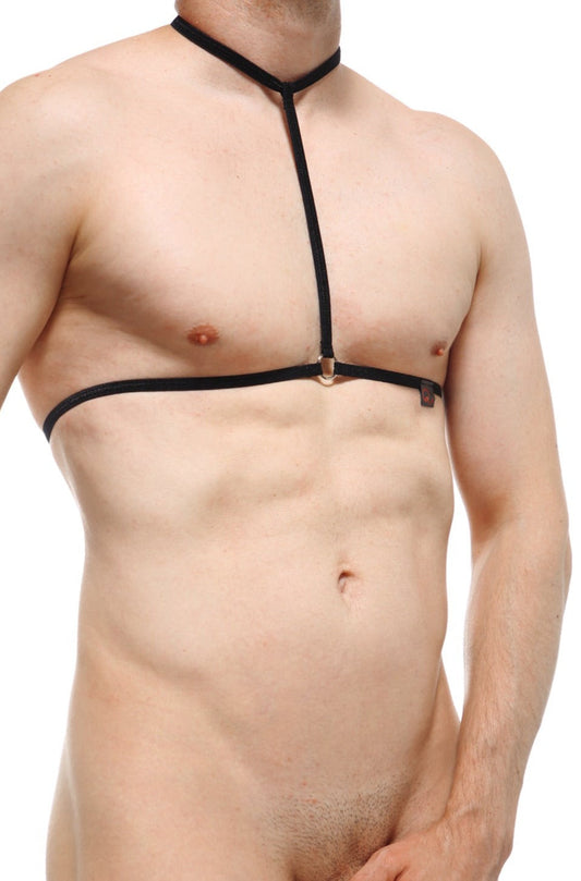 Harness Tanasi Black