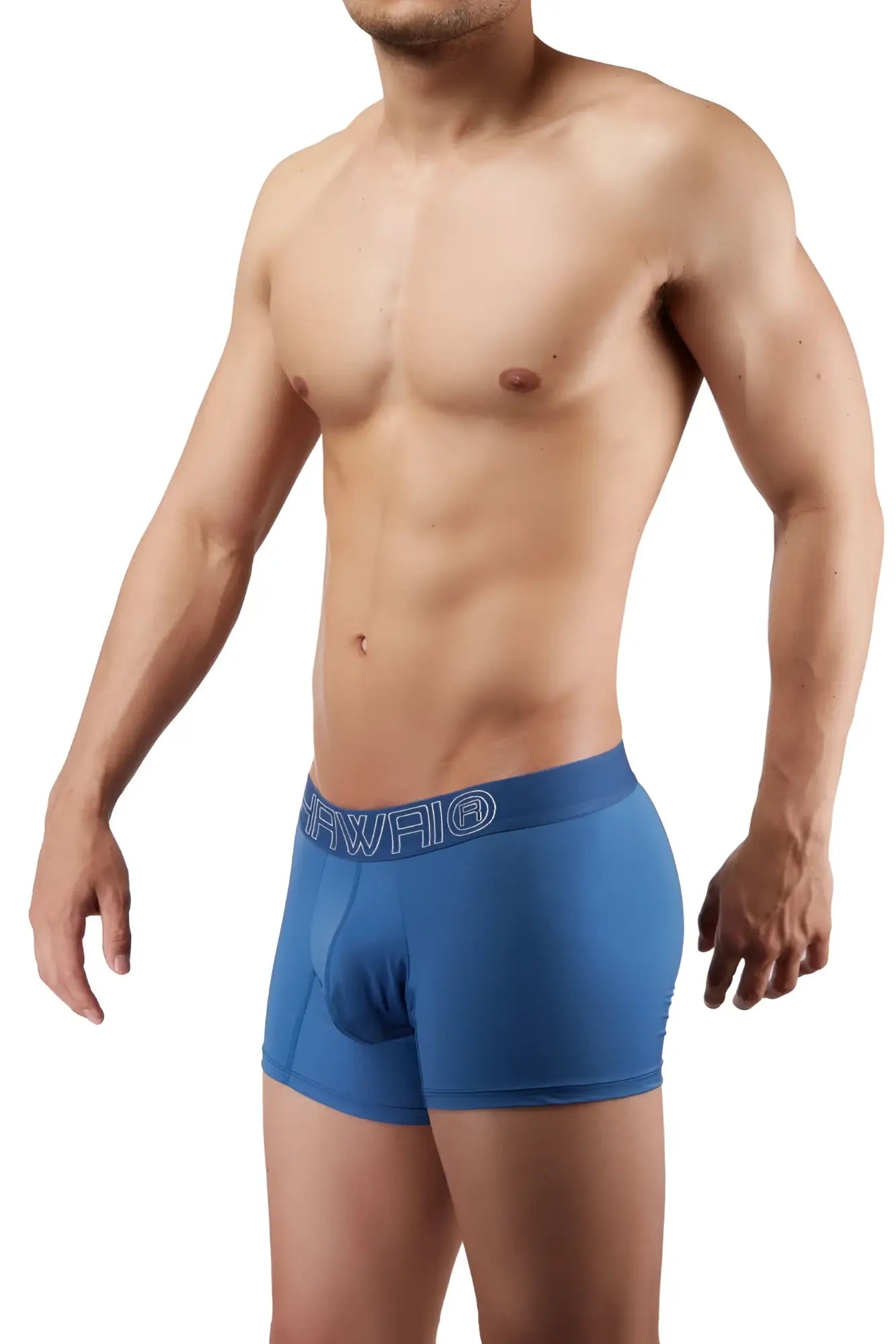 Blue quartz hawaï 41948 men’s boxer briefs with a subtle white logo on the waistband visible from the front