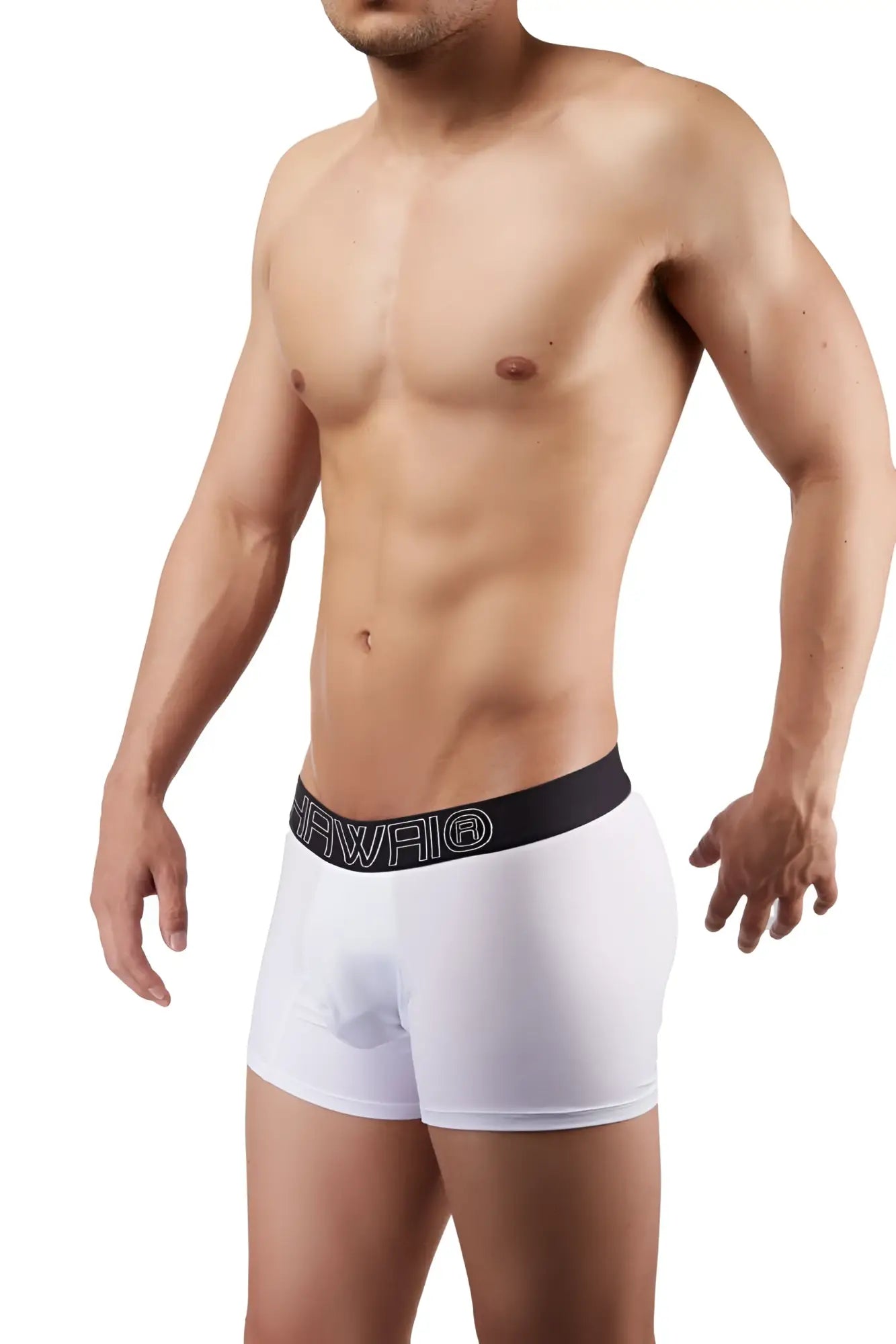 White hawaii 41948 boxer briefs with a black elastic waistband featuring the brand name in white lettering