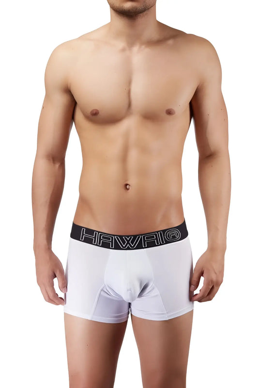 White men’s boxer briefs with black elastic waistband featuring hawaii logo in white lettering model 41948