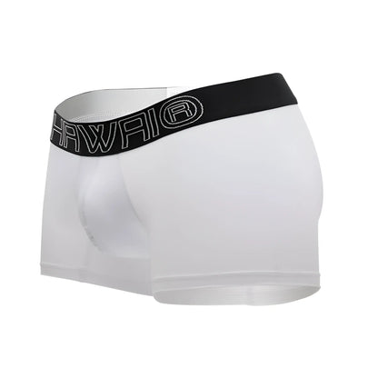 White men’s briefs with black elastic waistband featuring hawaii logo in white from hawai 41948 boxer briefs collection