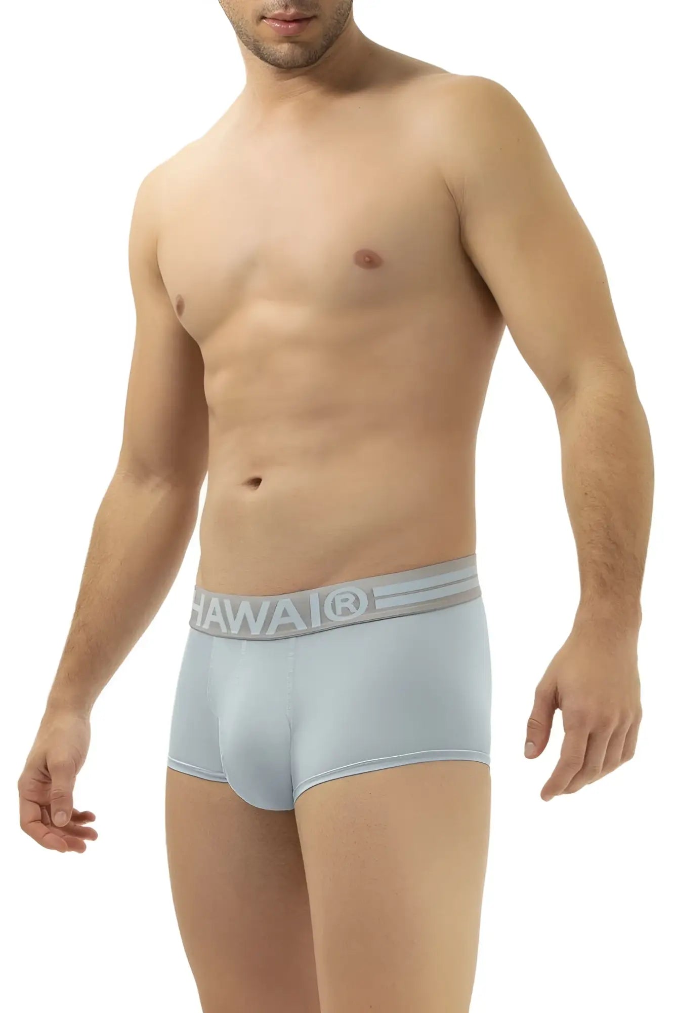 Light blue microfiber men’s briefs with a gray hawaii branded waistband model HAWAI 41961