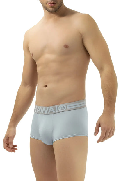 Light blue microfiber men’s briefs with a gray hawaii branded waistband model HAWAI 41961