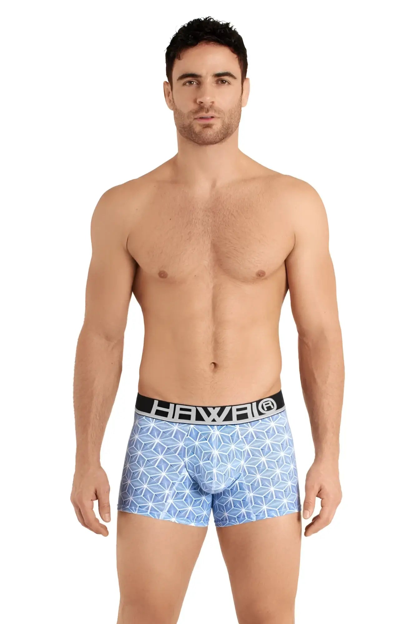 Light blue hawaii boxer briefs with geometric pattern and black waistband in trunks color blue design