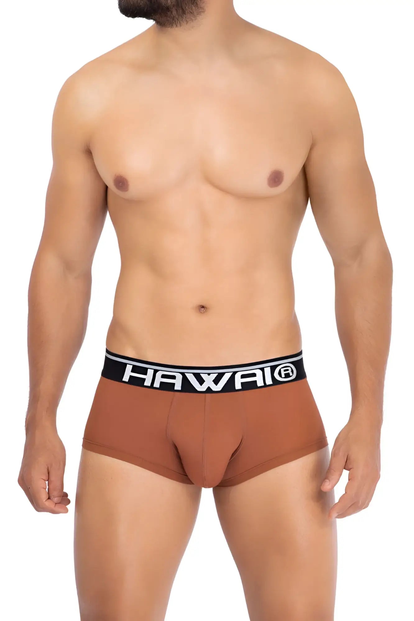 Brown hawai 42181 solid microfiber men’s briefs in amber with black waistband and white hawaii logo