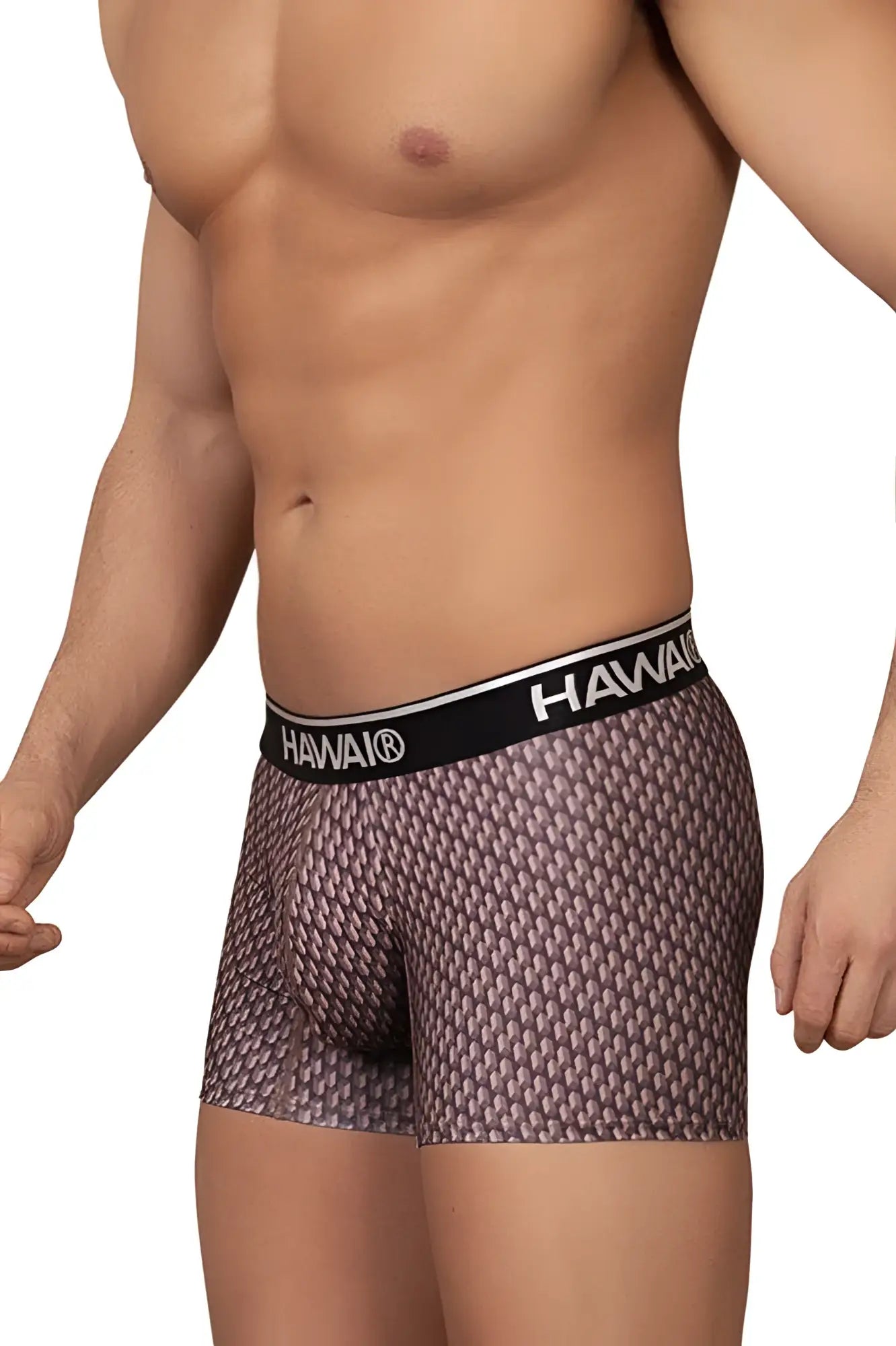 Hawai 42420 printed trunks in cocoa color with Hawaiian pattern and black waistband featuring Hawaii logo in white