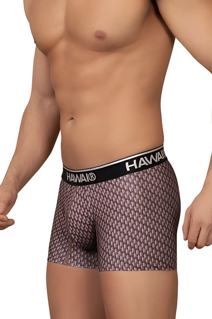 Hawai 42420 printed trunks in cocoa color with Hawaiian pattern and black waistband featuring Hawaii logo in white