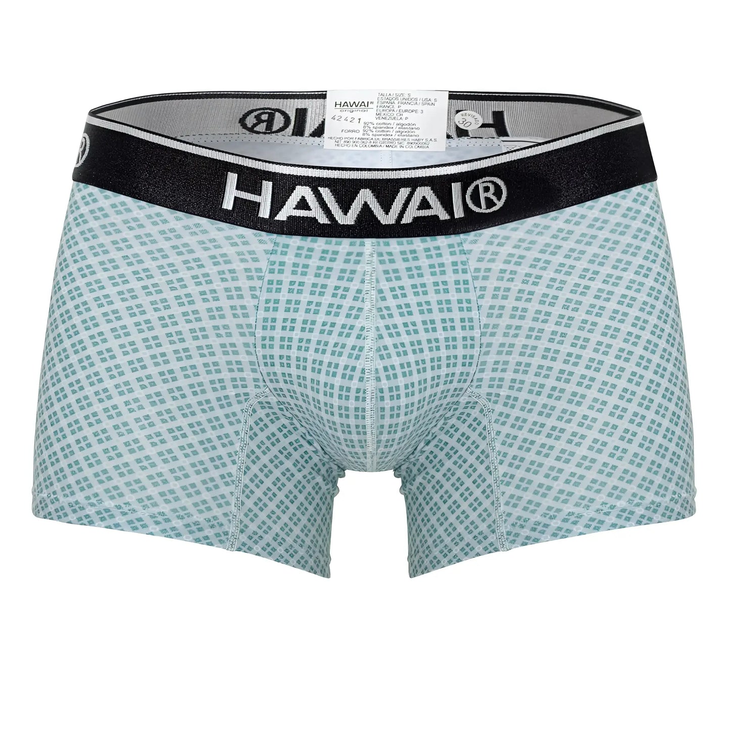 Hawaii 42421 printed trunks green men’s boxer briefs in light teal white checkered pattern with black elastic waistband