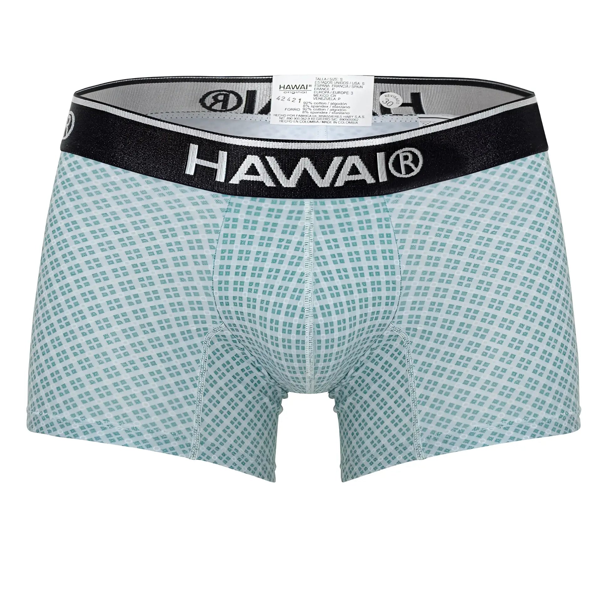 Hawaii 42421 printed trunks green men’s boxer briefs in light teal white checkered pattern with black elastic waistband