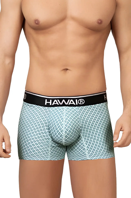 Light blue patterned boxer briefs with black waistband featuring hawai brand name in white from hawai 42421 printed trunks