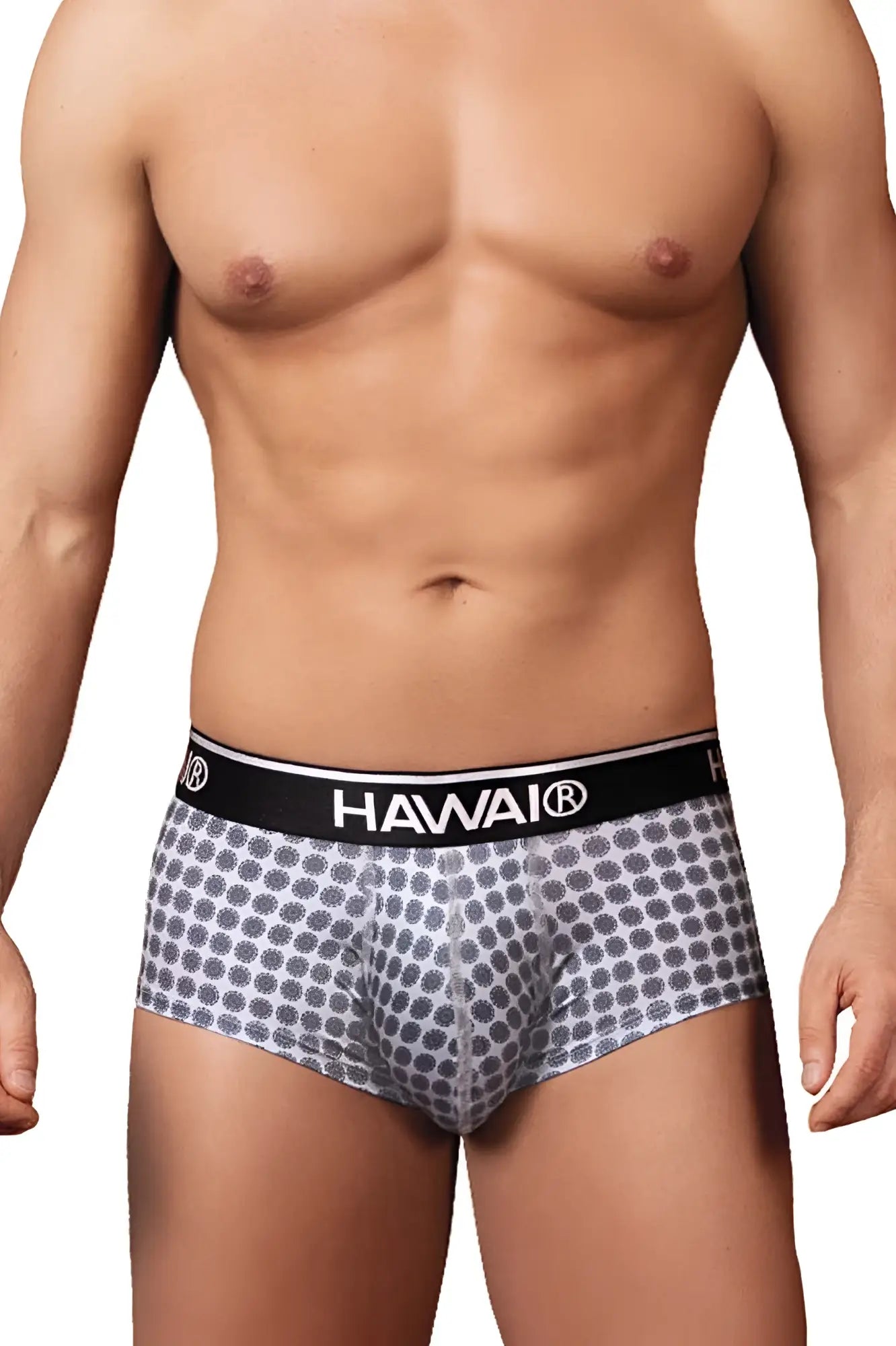 Gray patterned men’s briefs with black waistband featuring hawai brand name printed for everyday comfort