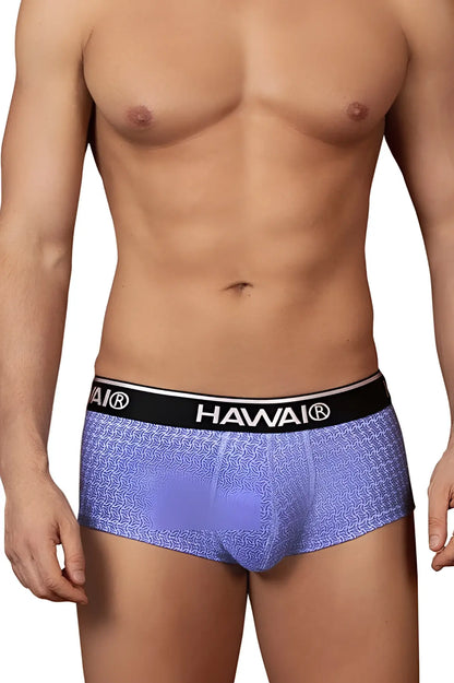 Purple patterned briefs with black hawaii waistband in blue color from hawaii 42431 printed briefs collection