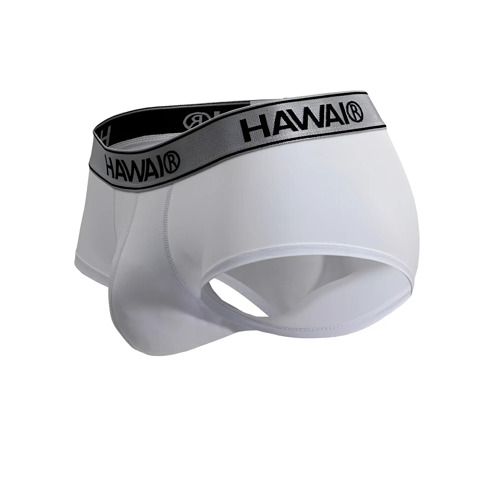 White Hawai microfiber briefs with black and gray logo elastic waistband in color white front view