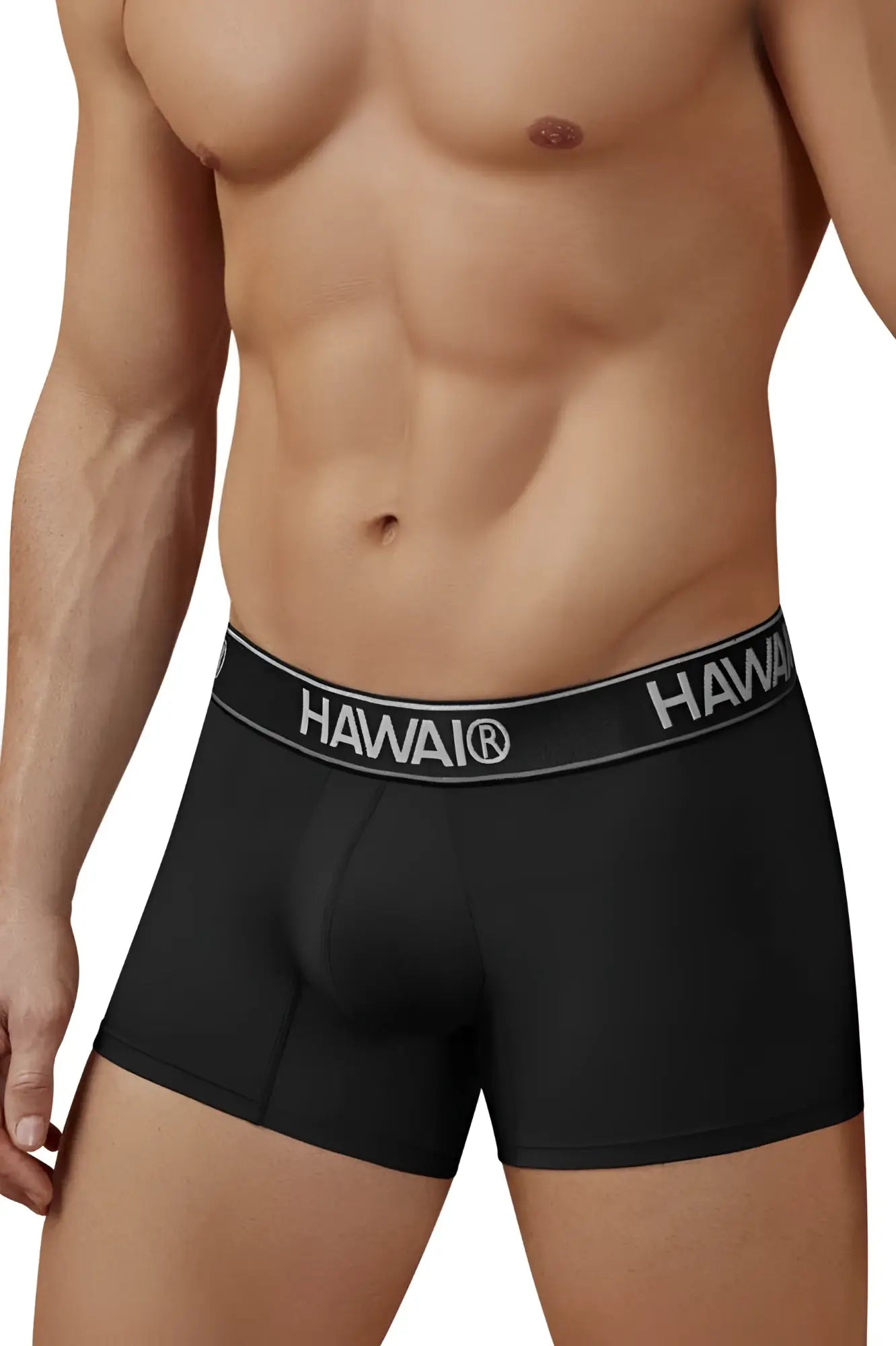 Black Hawai 41977 microfiber men’s boxer briefs in black with a gray waistband featuring white brand lettering