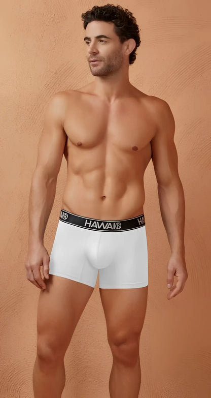 White men’s microfiber briefs with black elastic waistband featuring hawaii brand name in white lettering