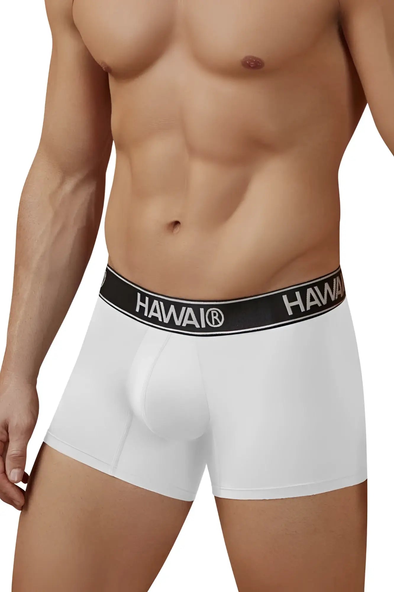 White hawaii microfiber men’s briefs with black elastic waistband and white brand lettering model 41977