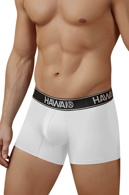 White hawaii microfiber men’s briefs with black elastic waistband and white brand lettering model 41977