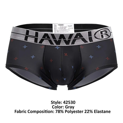 Gray hawai brand men’s microfiber briefs in gray with black waistband hawai logo and red blue star patterns