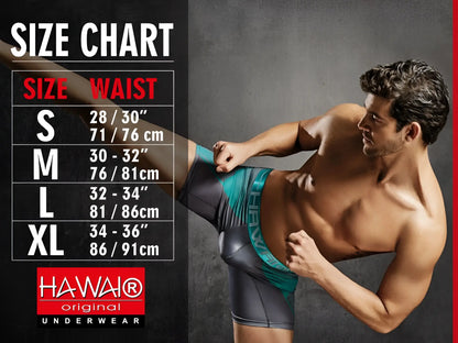 Gray and teal cotton blend athletic briefs with branded hawa original underwear waistband, model hawaI 42531