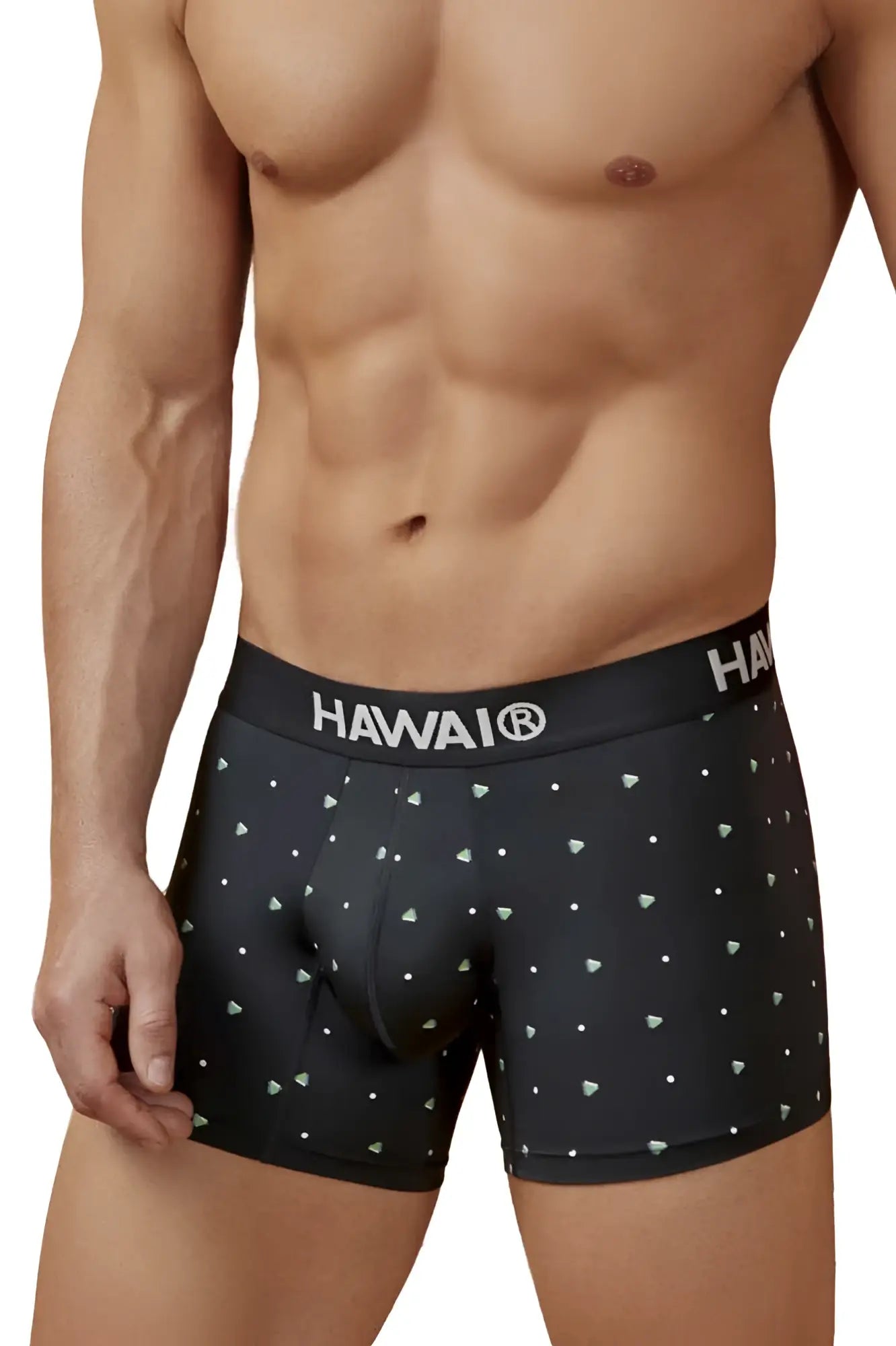 Black hawaiian men’s microfiber boxer briefs with white triangle and dot pattern and hawai logo waistband