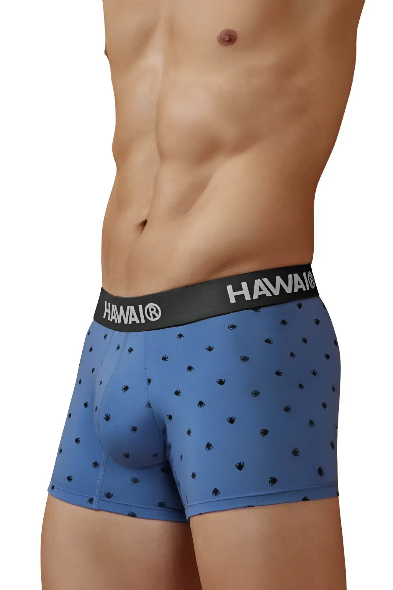 Blue Hawaiian boxer briefs in cotton blend with black elastic waistband and palm tree prints in blue quartz color