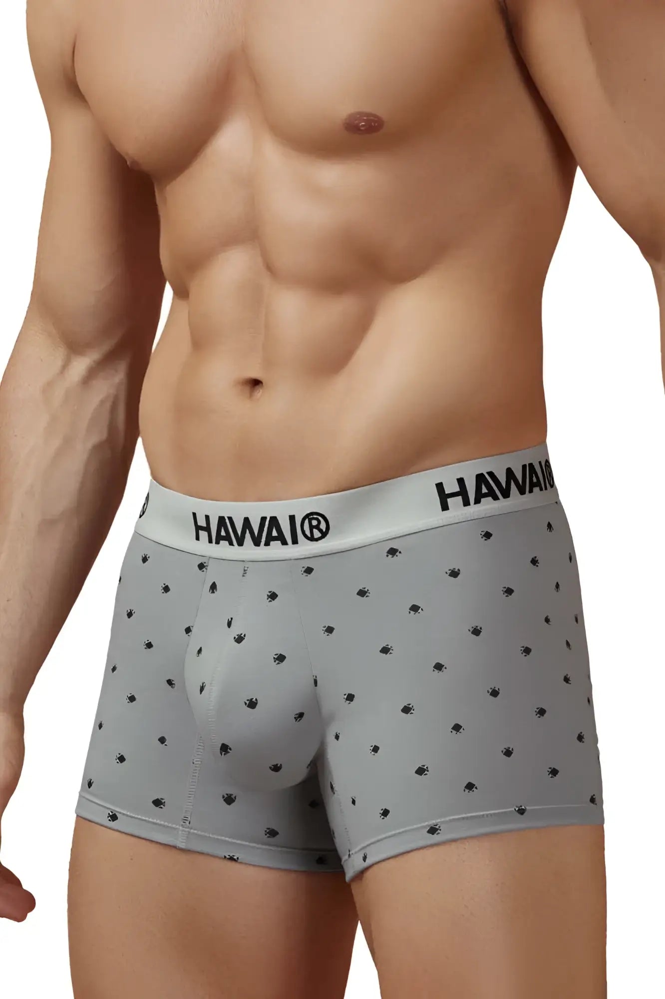 Gray Hawai 42571 cotton blend boxer briefs with subtle black palm tree pattern and branded elastic waistband