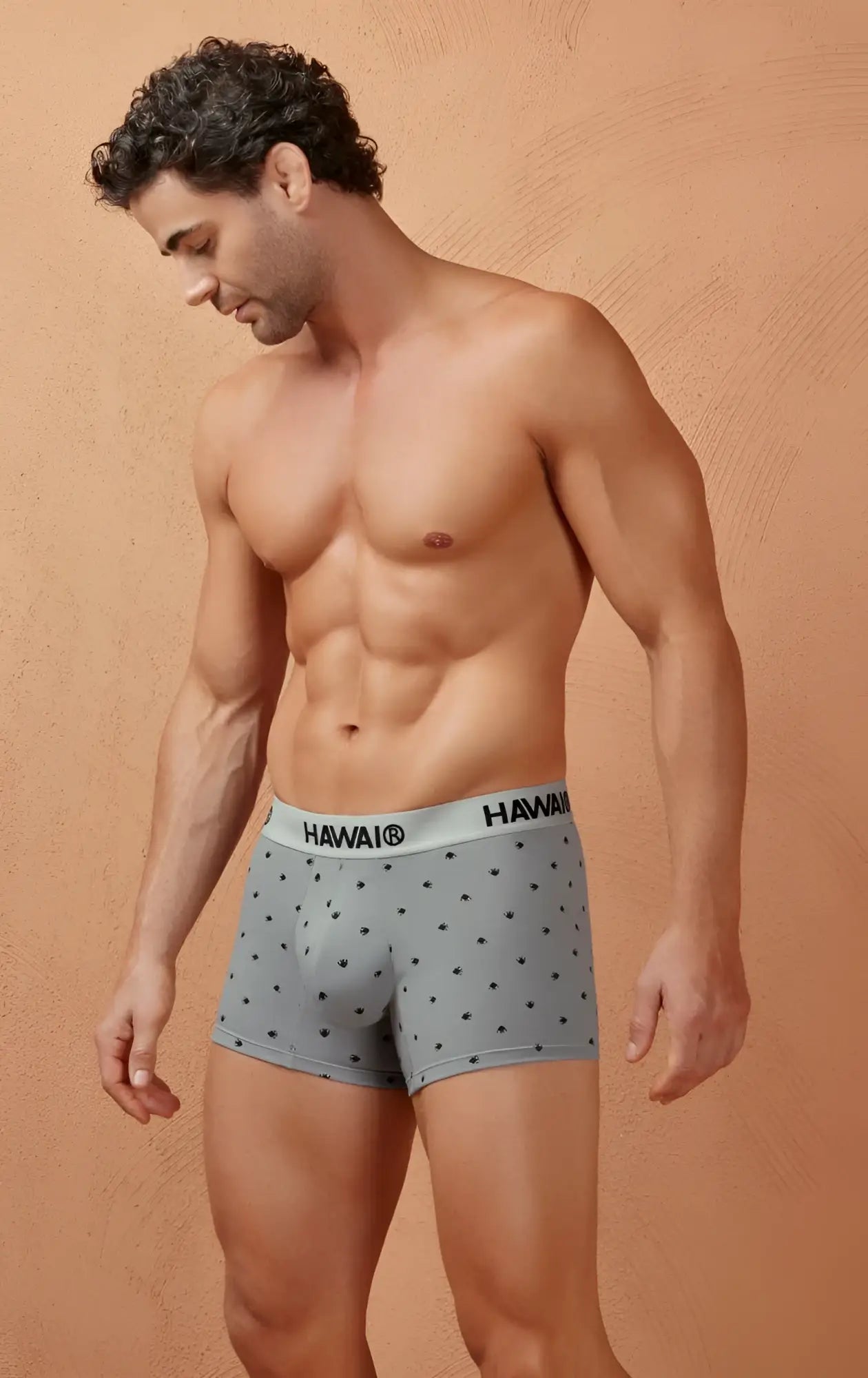 Gray cotton blend polka-dot briefs with white hawaii branded waistband hawaii 42571 trunks color gray