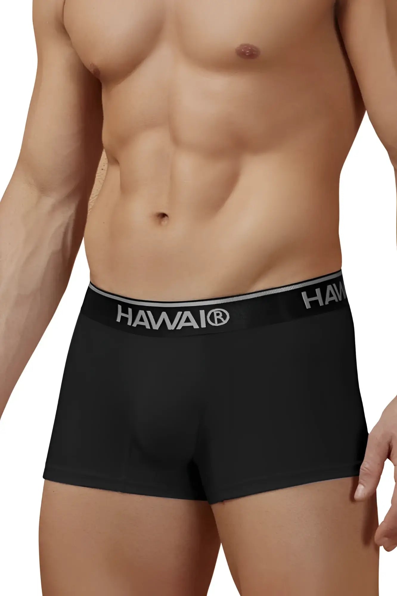 Black hawaiian boxer briefs in cotton blend with gray hawaii elastic waistband in black 01 color