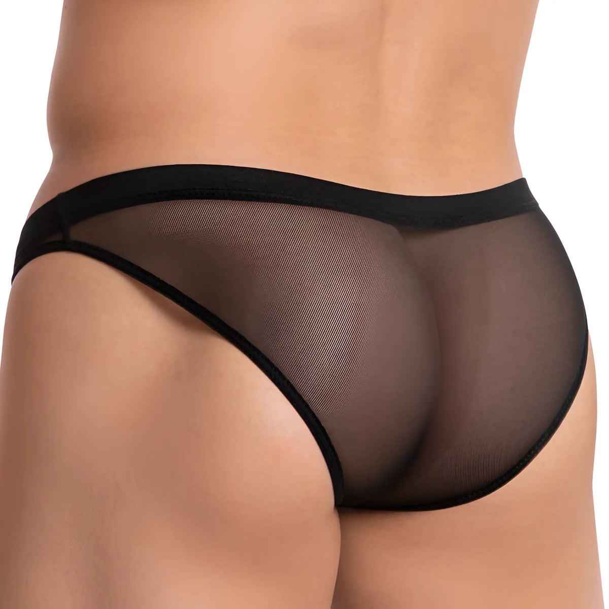 Black hung hgJ016 briefs made of sheer mesh with solid black waistband and leg openings front view