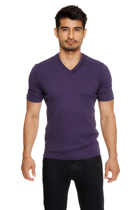 Purple hybrid v-neck short-sleeved cotton t-shirt in eggplant purple shown from the front