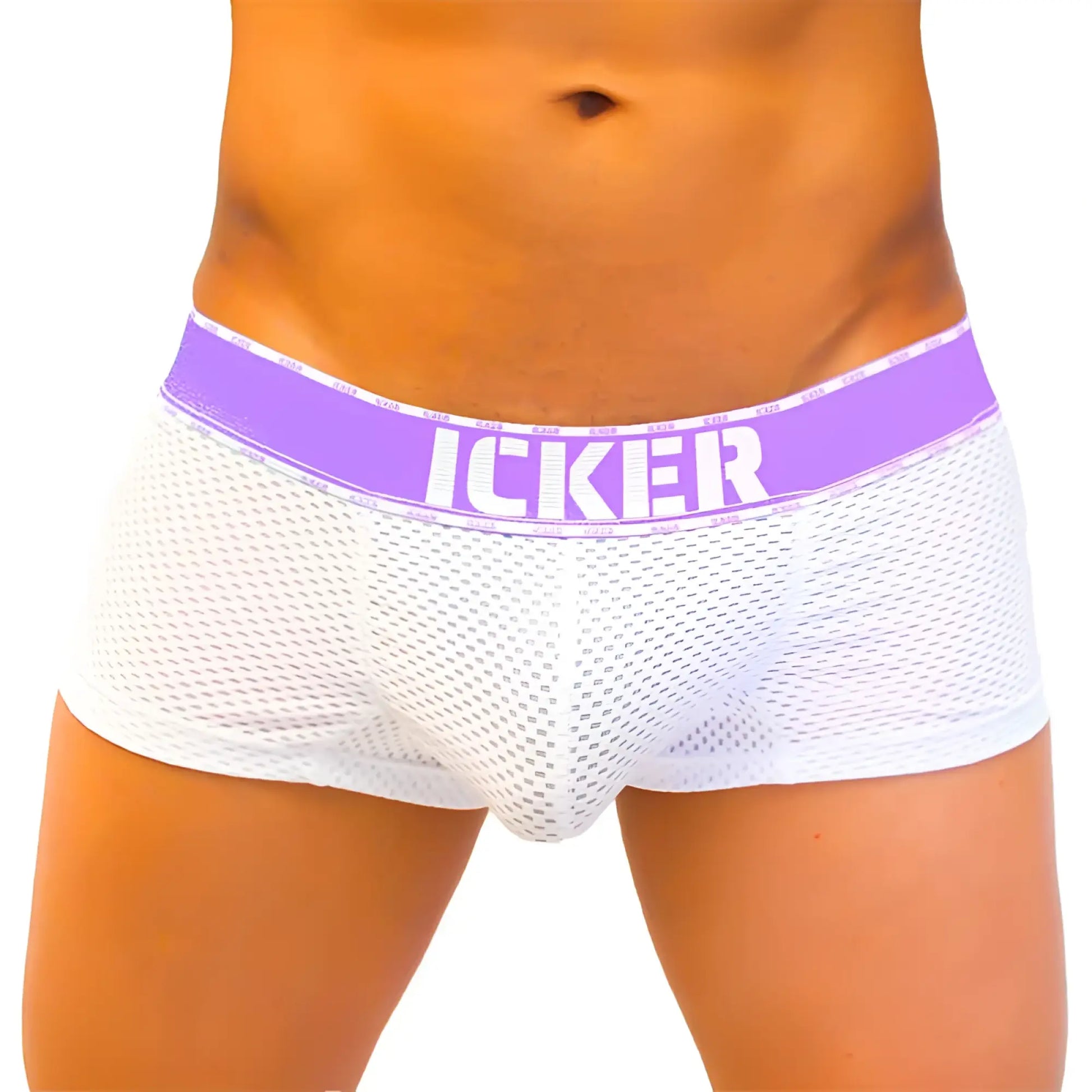White mesh icker sea mesh contrast boxer brief underwear with purple waistband and white lettering