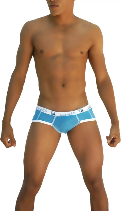 Light blue men’s briefs underwear with white elastic waistband featuring Livela brand name and logo COI-13-14